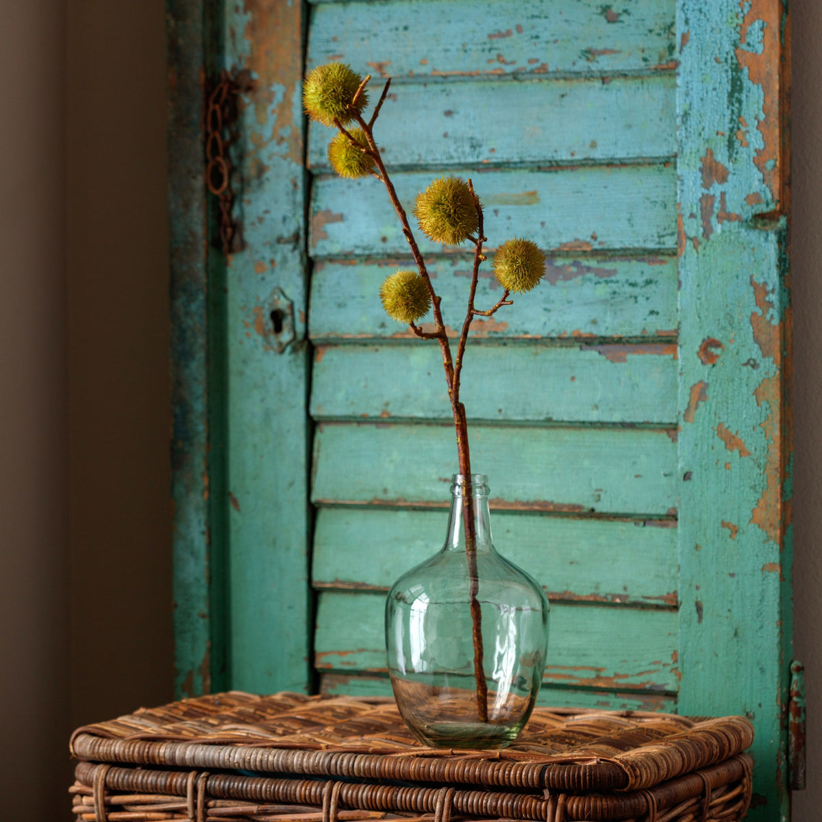 Chestnut Stem Green